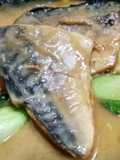 Saba Miso (Makarel Mackerel Miso)