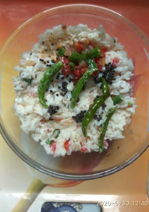 A picture of Curd rice.