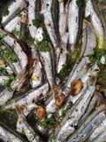 #436 Alici alla tianella 🐟🌿🍋😋