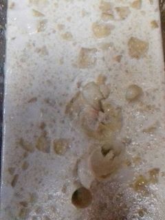 Una foto de Pie de limon (sin horno)