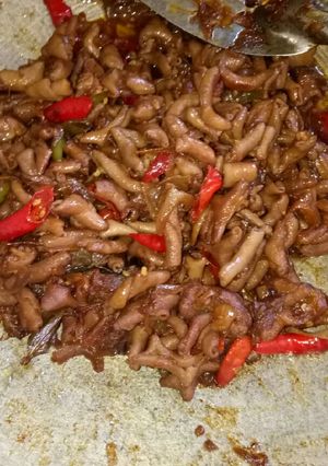 Foto resep Tumis usus ayam