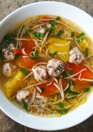 Hình của món Canh chua mọc giá đỗ thanh mát.