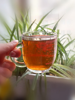 عکسی از دستور دم کردن چای ایرانی
