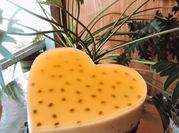 Hình ảnh của cake oreo