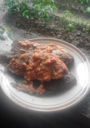 Foto resep Ikan Nila Bumbu Plecingan