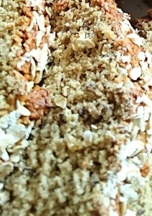 A picture of Gluten free Oat Bread.