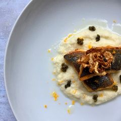 A picture of Pan seared seabass fillet on fennel puree with fennel crisps and crispy capers.