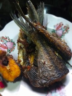 Foto resep Patin goreng enakk