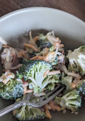 A picture of The Best Broccoli Salad.