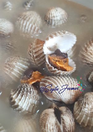 Foto resep Kerang Rebus Sederhana