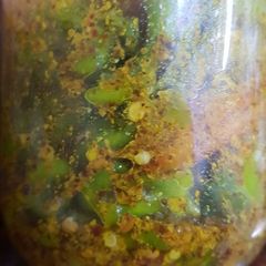 A picture of Mirchi Achaar.