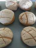 Conchas