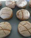 Conchas