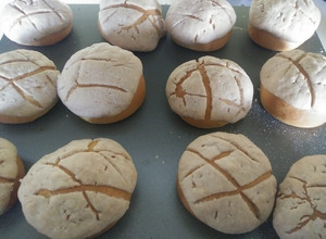 Una foto de Conchas