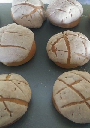 Una foto de Conchas