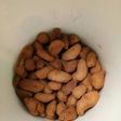 Biji ketapang sayang anak (tanpa kelapa)