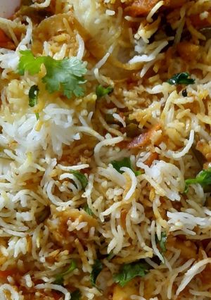 A picture of Biryani.