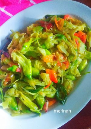 Foto resep Tumis kembang turi