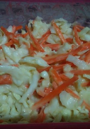 Foto resep Salad Kubis Wortel Lobak Dengan Thousand Island Mayo Dressing