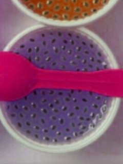 عکسی از دستور ژله ی تخم شربتی