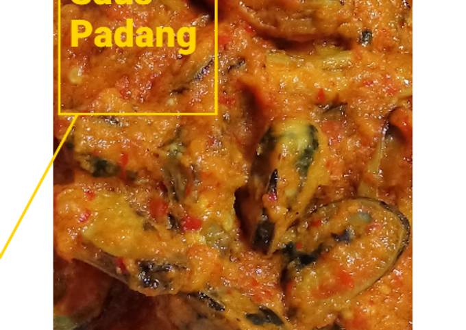 Kerang Ijo Saos Padang