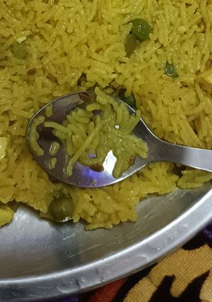 A picture of Veg paneer pulao.
