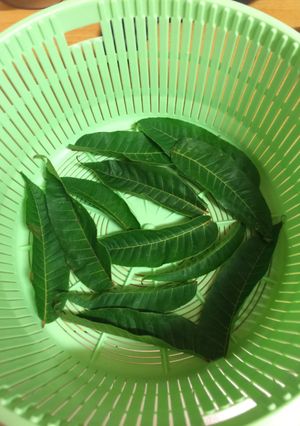 素食香椿餅 的食譜成品照片