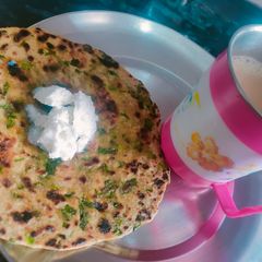 A picture of Methi parantha.