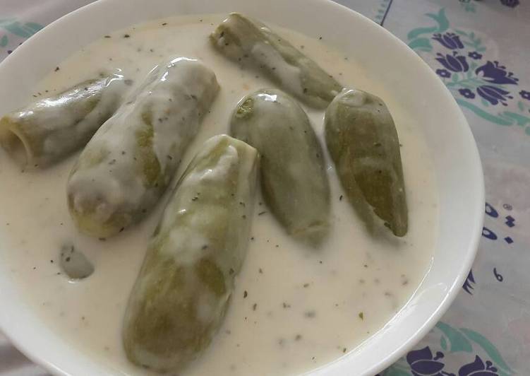 كوسى محشي باللبن