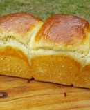 Brioche en molde