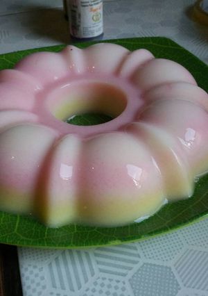 Foto resep Puding susu seadanya