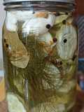 Dill Pickles