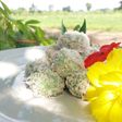 Klepon Praktis