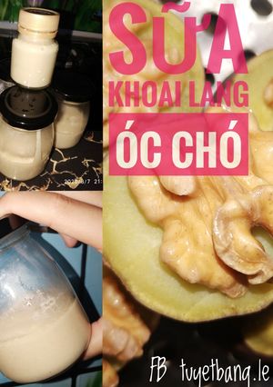 Hình của món Ăn dặm cho bé: Sữa khoai lang óc chó.