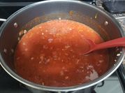 A picture of basic tomato sauce