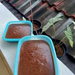 รูปของ Puding Susu Nutrijel