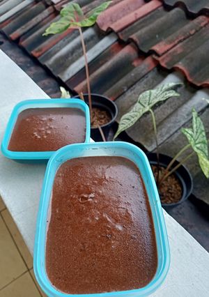 Foto resep Puding Susu Nutrijel