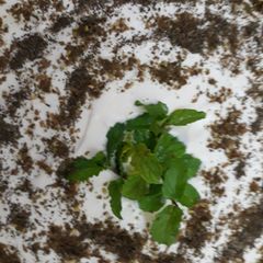 A picture of Beetroot salad.