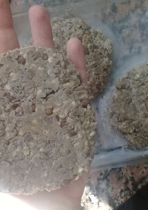 Una foto de Hamburguesas de lenteja