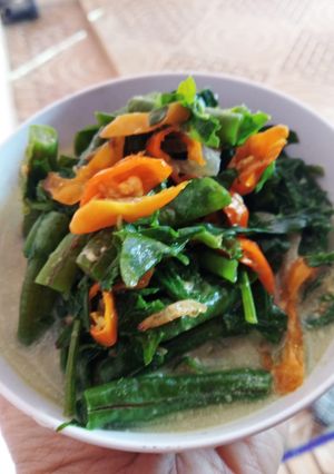 Foto resep Lodeh mbayung (daun kacang)