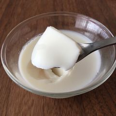 A picture of Vanilla Milk Pudding.