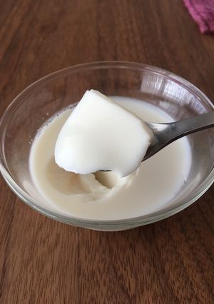 A picture of Vanilla Milk Pudding.