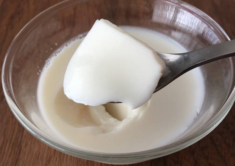Vanilla Milk Pudding