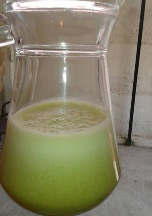 Una foto de Batido refrescante quema grasa