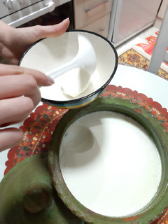 عکسی از دستور ماست خانگی