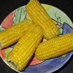 A picture of Sweet corn.