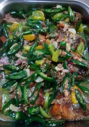 Foto resep Ikan Nila Masak Tauco Cabai Hijau