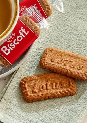 A picture of Homemade Biscoff Cookies Recipe.