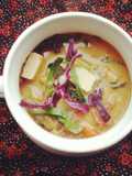 Sopa de tofu al estilo oriental (vegan)