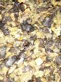 فطر مع لحمة
